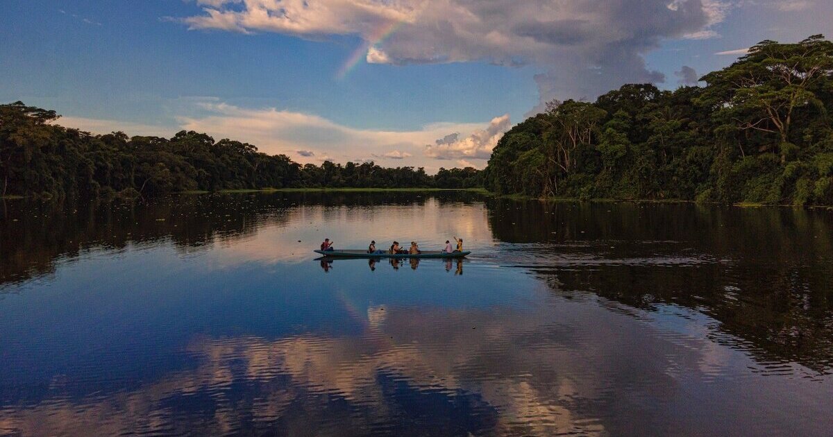 Manu National Park is one of the most biodiverse places on Earth, home to countless species of plants, animals, and birds. Its remote location and pristine rainforest landscapes offer a rare glimpse into the untouched beauty of the Peruvian Amazon.