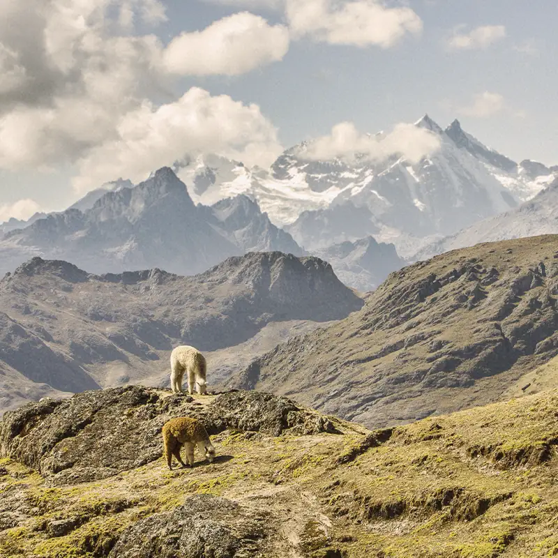 Kristina’s Lares Trek to Machu Picchu