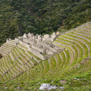 Agricultural terraces and constructions at the Inca site of Wiñay Wayna.