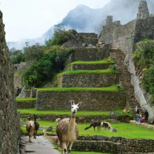 Short Inca Trail Experience for David