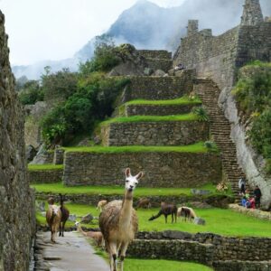 The Visit to the Wonder of the World for Qaas: Machu Picchu