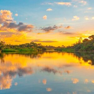 Wide river in the Amazon rainforest at sunset, with dense green jungle on both sides and golden clouds reflected on the calm water surface.